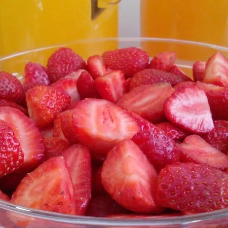 Barquinha Nature House Vila Nova da Barquinha