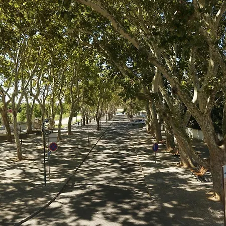 Barquinha Nature House 컨트리하우스 *