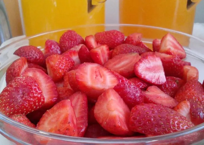 Barquinha Nature House Vila Nova da Barquinha