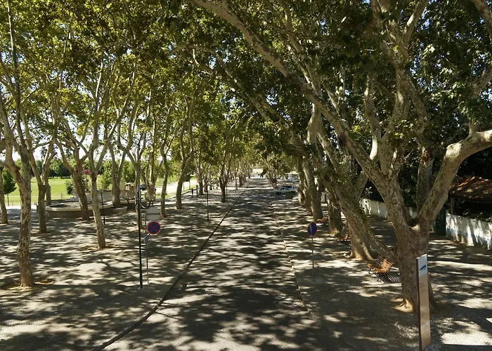 Barquinha Nature House Casa rural *